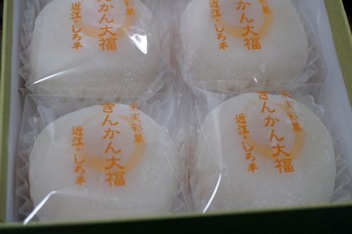 20160309DSC00429 20160309DSC00429