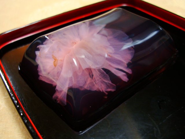 20100319Dsc00216
