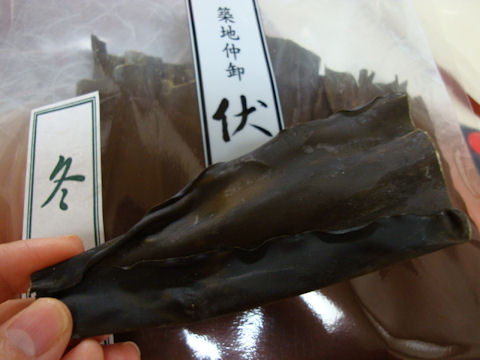 20100422DSC02138