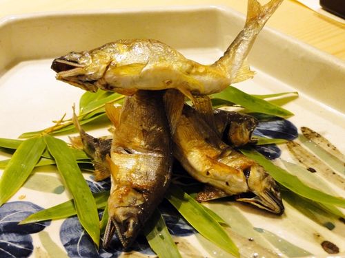 20130628DSC08014
