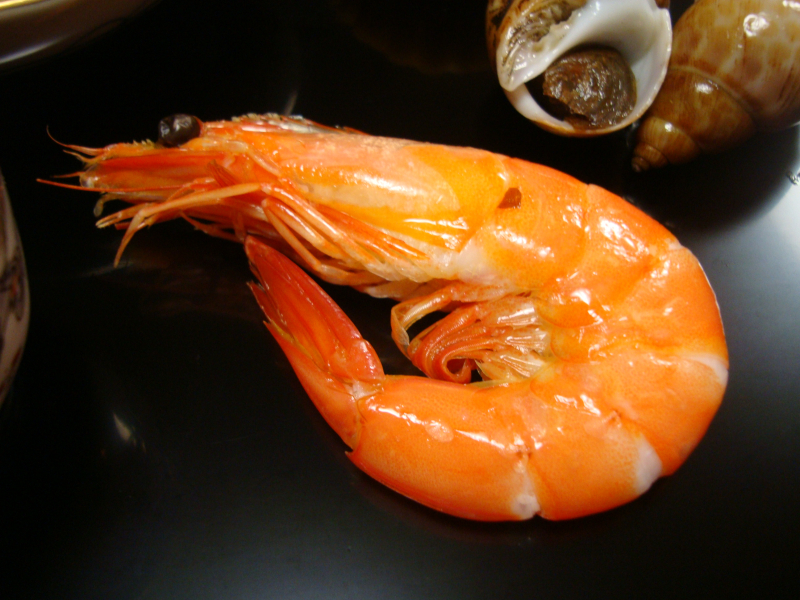 DSC07593 DSC07593